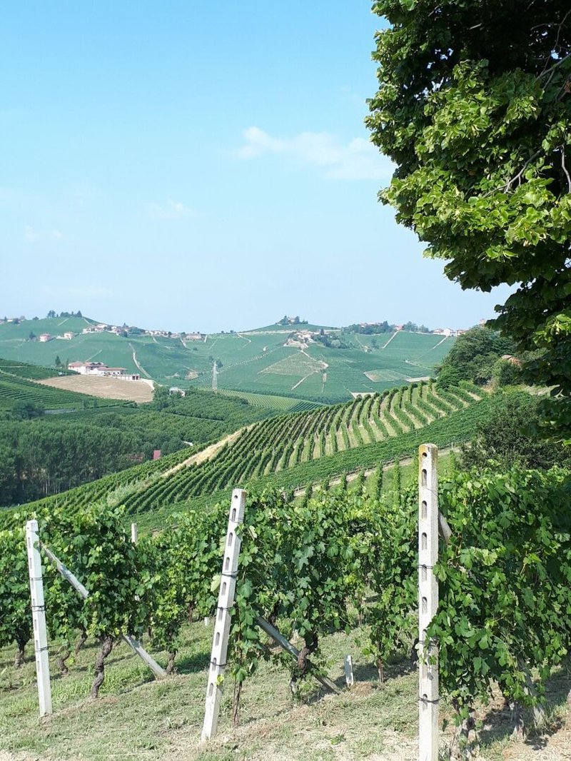 Uno sguardo a spinwinera bono