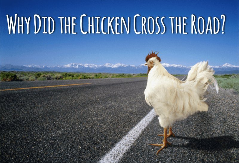 Best chicken road in Spain